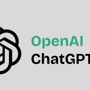 ChatGPT Go (1 User, 1 Year) - ChatGPT Account - GLOBAL
